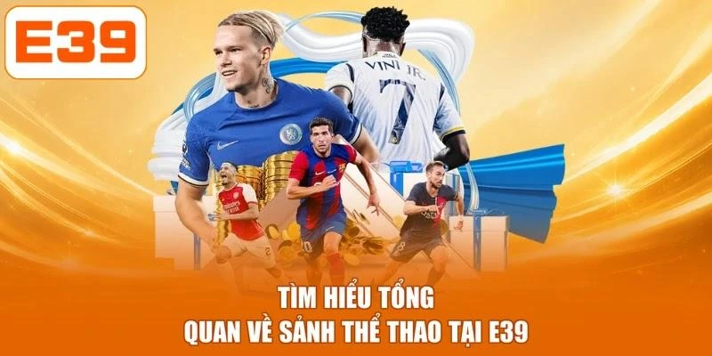 Tìm hiểu tổng quan về sảnh thể thao tại E39